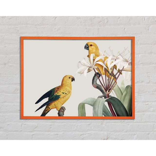 Two Yellow Parrots - Single Picture Frame Art Prints Ophelia & Co. Size: 29.7cm H x 42cm W x 2cm D on Productcaster.