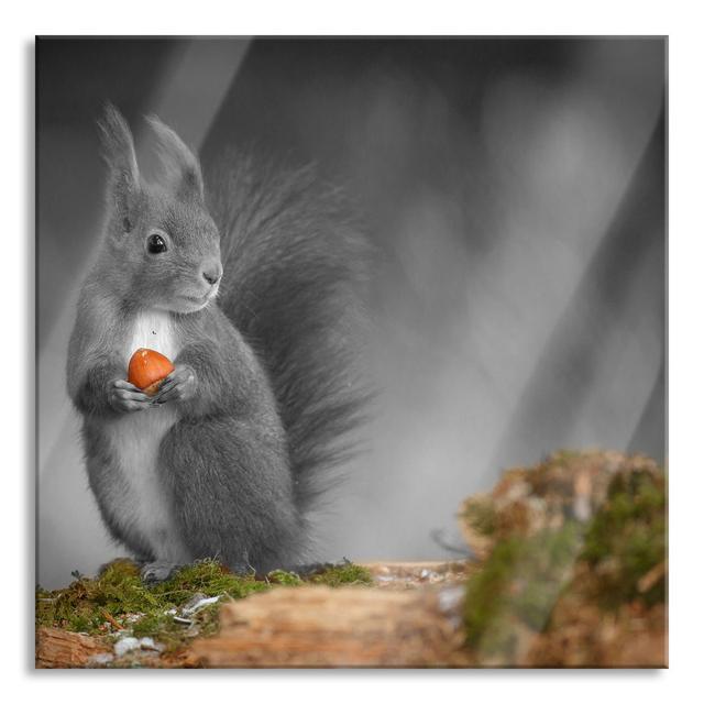 Sweet Squirrel with Nut - Unframed Photograph on Glass Brayden Studio Size: 80cm H x 80cm W x 0.4cm D on Productcaster.