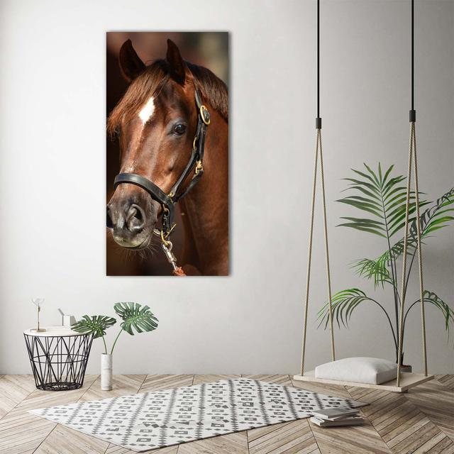 Portrait of a Horse - Wrapped Canvas Art Prints Gracie Oaks on Productcaster.