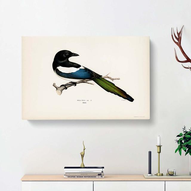 Eurasian Magpie by Von Wright - Wrapped Canvas Painting Print East Urban Home Size: 40cm H x 60cm W x 3cm D on Productcaster.