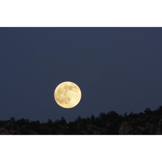 Full Moon Desert Night Silhouette by ChuckSchugPhotography - No Frame Art Prints on Canvas Alpen Home Size: 61cm H x 91cm W on Productcaster.