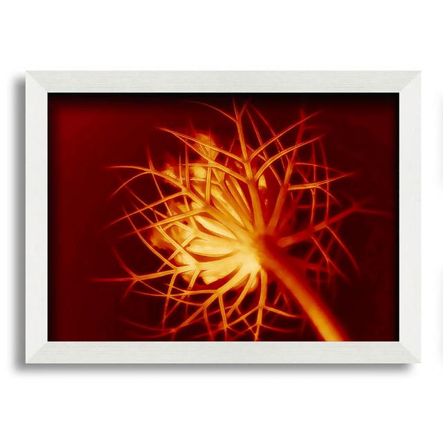 Red Thorns - Single Picture Frame Art Prints Latitude Run Size: 21cm H x 29.7cm W on Productcaster.