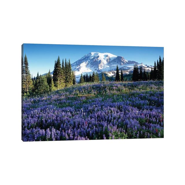 Snow-Covered Mount Rainier with a Wildflower Field in the Foreground, Mount Rainier National Park, Washington, USA by Jamie & Judy Wild - Wrapped Canv on Productcaster.