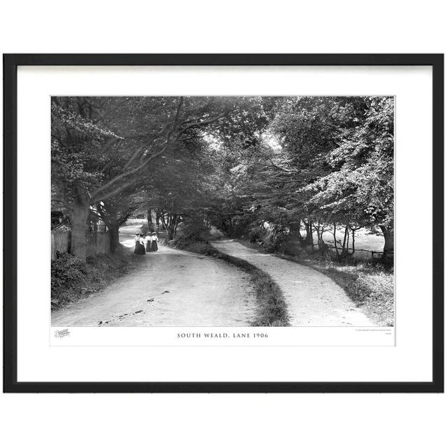 South Weald, Lane 1906 by Francis Frith - Single Picture Frame Print The Francis Frith Collection Size: 60cm H x 80cm W x 2.3cm D on Productcaster.