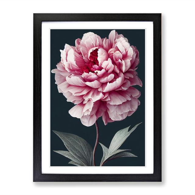 Peony Flower Portrait - Single Picture Frame Graphic Art Marlow Home Co. Size: 34cm H x 25cm W x 2cm D, Frame Option: Oak on Productcaster.