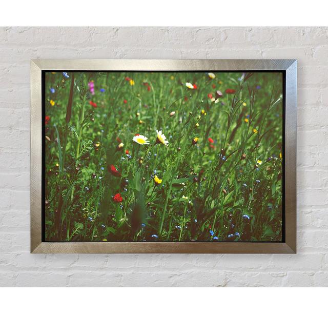 Springtime Flowers Greenery Framed Print Ophelia & Co. Format: Champagne Silver Framed Paper, Size: 100cm H x 141.4cm W x 3.4cm D on Productcaster.