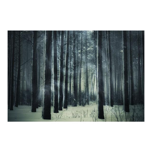 Sorensen Mystical Winter Forest 2.25m x 336cm Wallpaper Roll Ebern Designs on Productcaster.