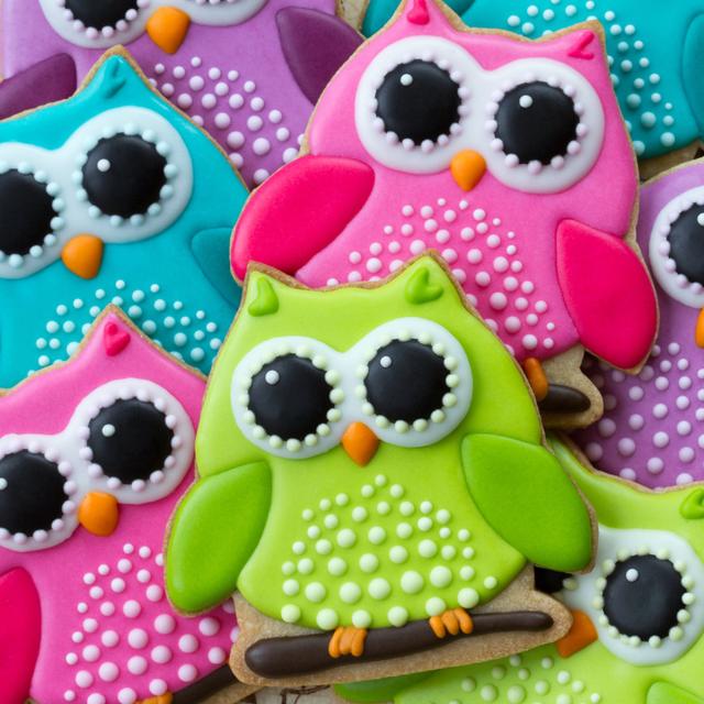 Owl Cookies by Ruthblack - Wrapped Canvas Photograph Alpen Home Size: 122cm H x 122cm W on Productcaster.