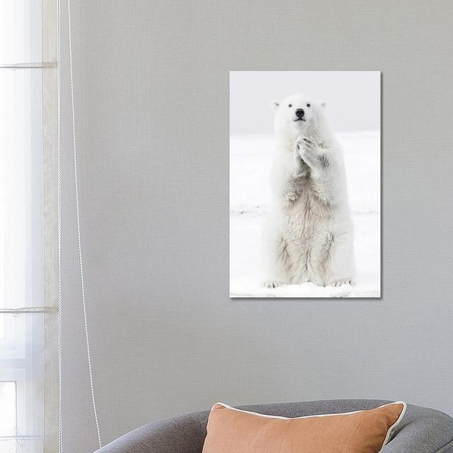 Polar Bear III by Karen Mandau - Wrapped Canvas Print World Menagerie Size: 66.04cm H x 45.72cm W x 3.81cm D on Productcaster.