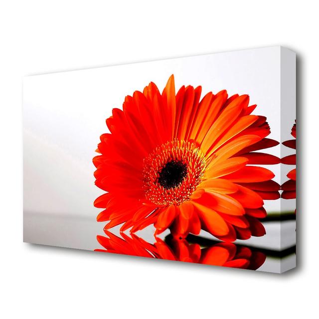 Gerbera Daisies Reflection Flowers Canvas Print Wall Art East Urban Home Size: 35.6 cm H x 50.8 cm W on Productcaster.