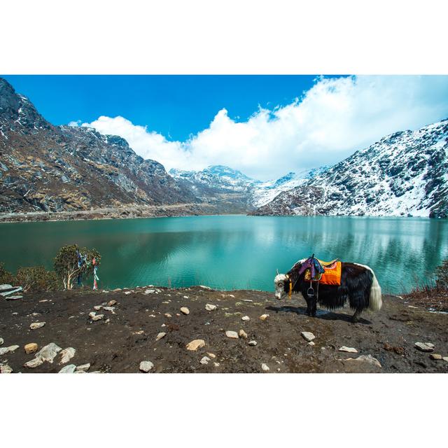 Tsangmo Lake In Sikkim, India by Orpheus26 - Wrapped Canvas Print Union Rustic Size: 20cm H x 30cm W x 3.8cm D on Productcaster.