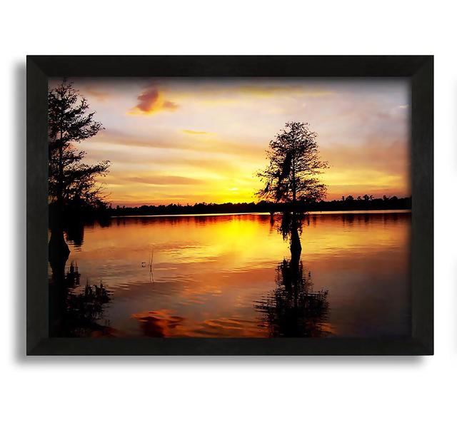 River Tree Sunset Framed Print Ebern Designs Format: White Framed Paper, Size: 59.7cm H x 84.1cm W x 10cm D on Productcaster.