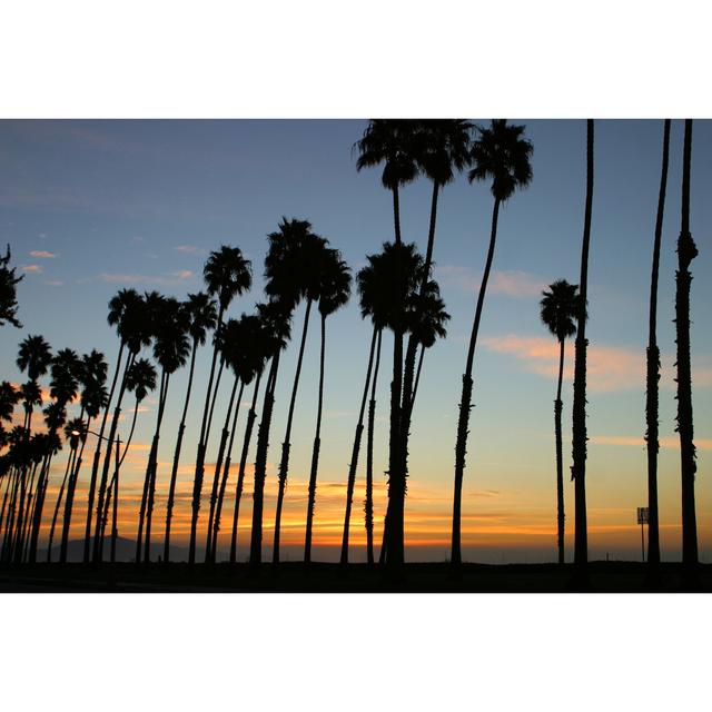 Sunrise At Stearns Wharf by Yenwen - Print 17 Stories Size: 61cm H x 91cm W on Productcaster.