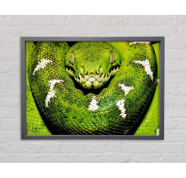 The Serpent Framed Print Bright Star Size: 84.1cm H x 118.9cm W x 3.3cm D on Productcaster.