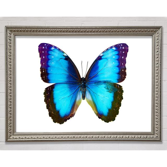 Electric Butterfly Framed Print August Grove Size: 42cm H x 59.7cm W x 3cm D, Format: Silver Framed Paper on Productcaster.