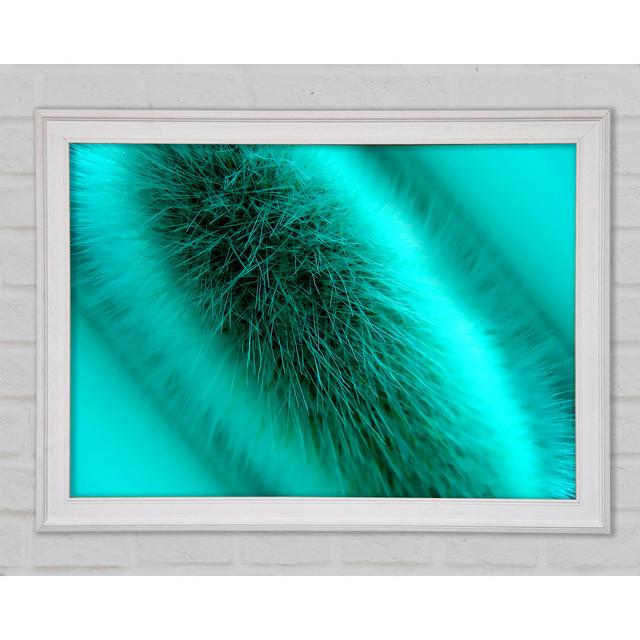 Fur Stem Framed Print Brayden Studio Size: 21cm H x 29.7cm W x 1.5cm D, Format: Natural Framed Paper on Productcaster.