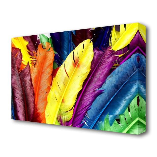 'Feathers In Colours' Photographic Print on Canvas East Urban Home Size: 50.8 cm H x 81.3 cm W on Productcaster.