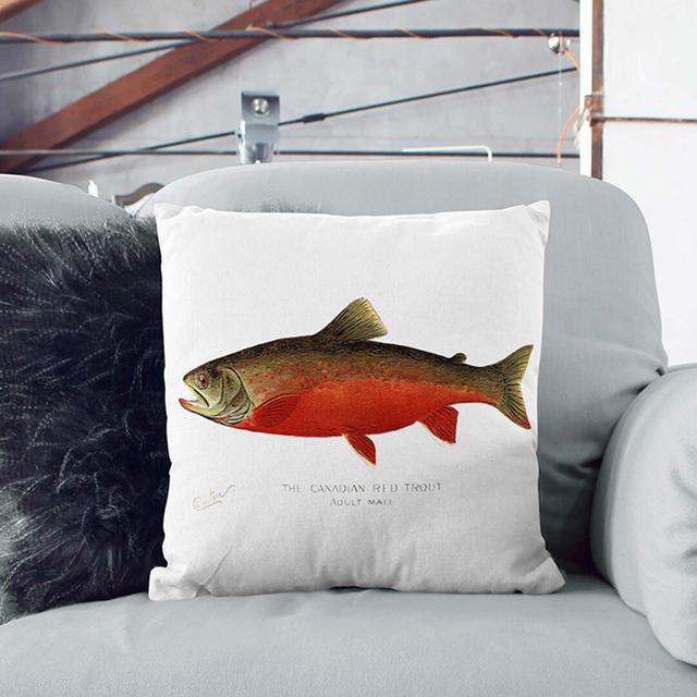 Canadian Red Trout by Sherman F. Denton Cushion with Filling East Urban Home Size: 55cm H x 55cm W x 20cm D, Backing Colour: White on Productcaster.