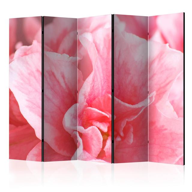 225cm W x 172cm H 5 - Panel Acoustic Room Divider Folding Room Divider East Urban Home on Productcaster.