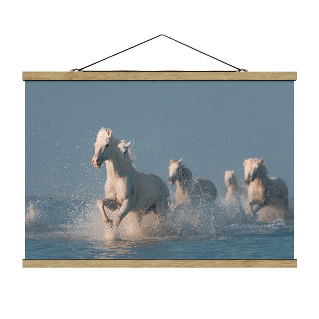 Mould Herd - Photograph Print Ebern Designs Size: 53.5cm H x 80cm W x 0.3cm D on Productcaster.