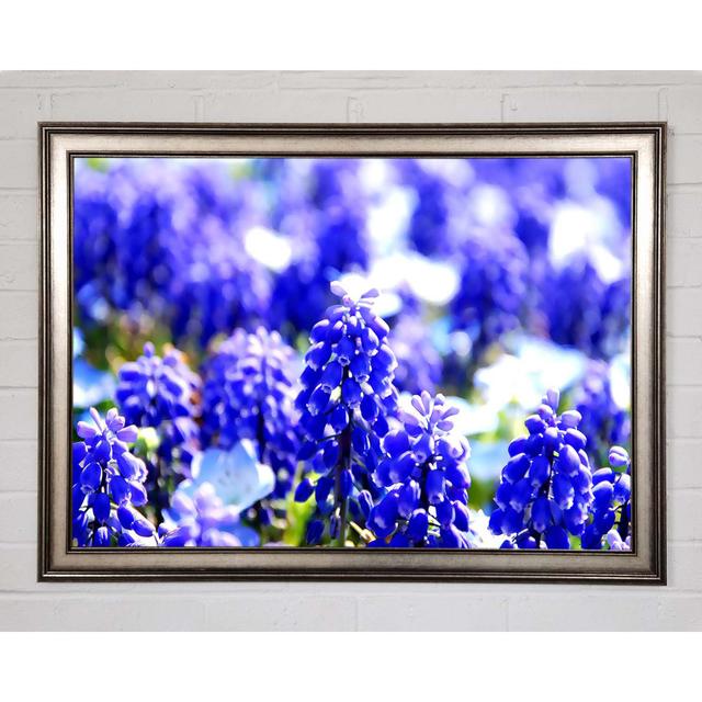 Single Picture Frame Art Prints Brayden Studio Size: 21cm H x 29.7cm W x 1.5cm D on Productcaster.