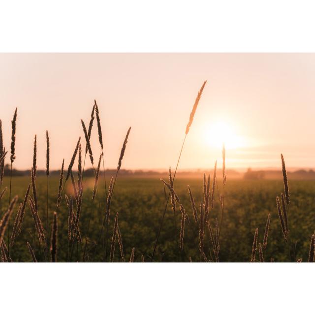 Scenic Rural Saskatchewan by Wildroze - No Frame Art Prints on Canvas 17 Stories Size: 20cm H x 30cm W on Productcaster.