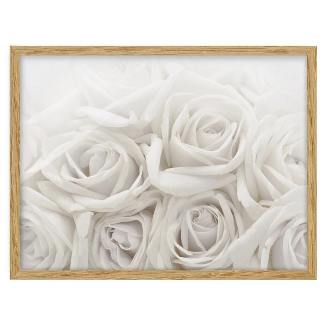 White Roses - Picture Frame Graphic Art Mercer41 Frame Option: Brown Framed, Size: 40cm H x 55cm W x 2cm D on Productcaster.