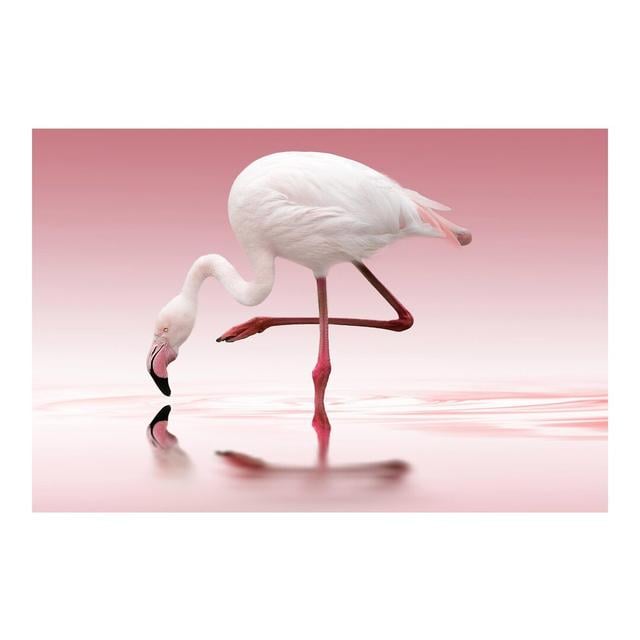 Seidenmatte Fototapete Flamingo Dance East Urban Home Materialqualität: Standard (110g/m²), Größe: 3,36 m x 225 cm on Productcaster.