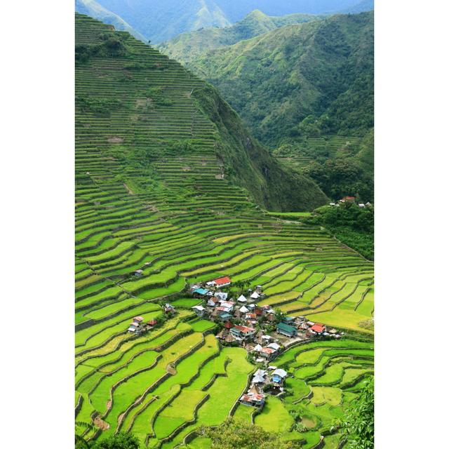 Rice Terraces Of Philippine Cordilleras Alpen Home Size: 46cm H x 30cm W on Productcaster.