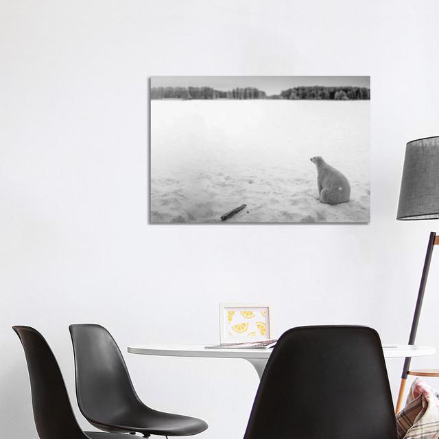 Edi: Polar Bear Looking Into Horizon by Nik Rave - Wrapped Canvas Print Alpen Home Size: 66.04cm H x 101.6cm W x 1.91cm D on Productcaster.