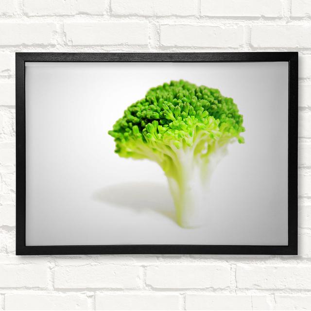 Brocolli Stem - Closed Corner Frame Art Prints on Wood Latitude Run Size: 29.7cm H x 42cm W on Productcaster.