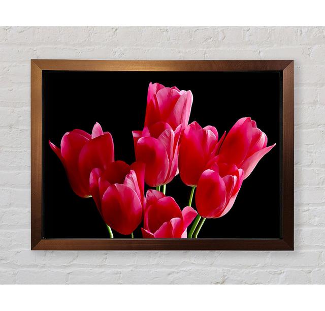 Single Picture Frame Art Prints Ebern Designs Size: 84.1cm H x 118.9cm W on Productcaster.