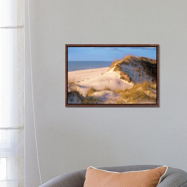 Coastal Sand Dunes, Saint Joseph Peninsula, Florida by Tim Fitzharris - Gallery-Wrapped Canvas Giclée on Canvas Beachcrest Home Format: Classic Wood F on Productcaster.