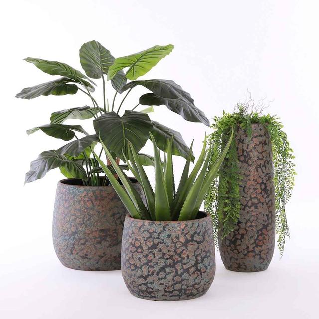 Ozbourn Terracotta Plant Pot World Menagerie Size: H25.5 x W32 x D32cm on Productcaster.