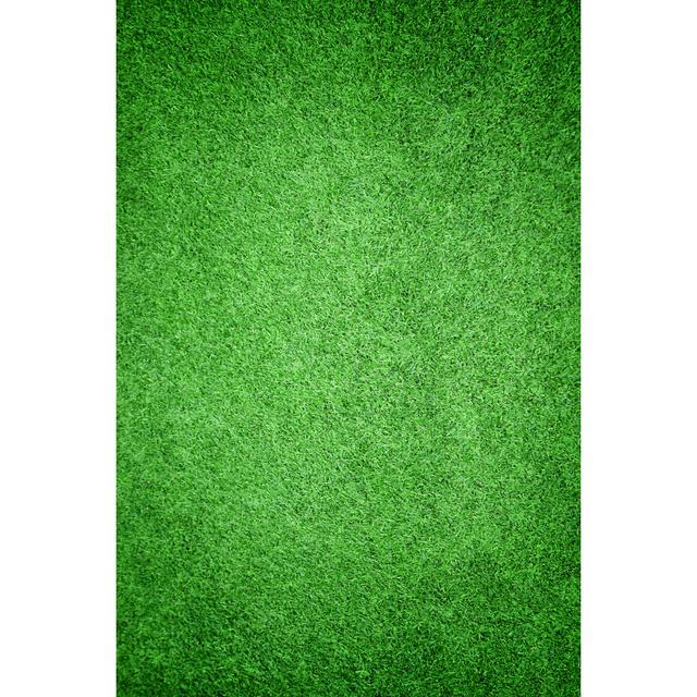 Beautiful Green Grass Texture by Prapann - Wrapped Canvas Print Ebern Designs Size: 76.2cm H x 50.8cm W on Productcaster.