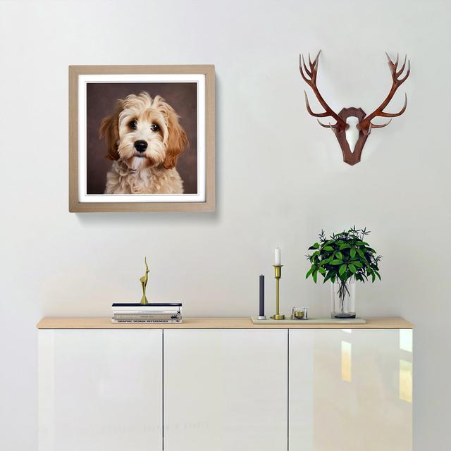 Cockapoo Photograph No.1 - Single Picture Frame Art Prints on Wood Marlow Home Co. Frame Colour: Oak on Productcaster.