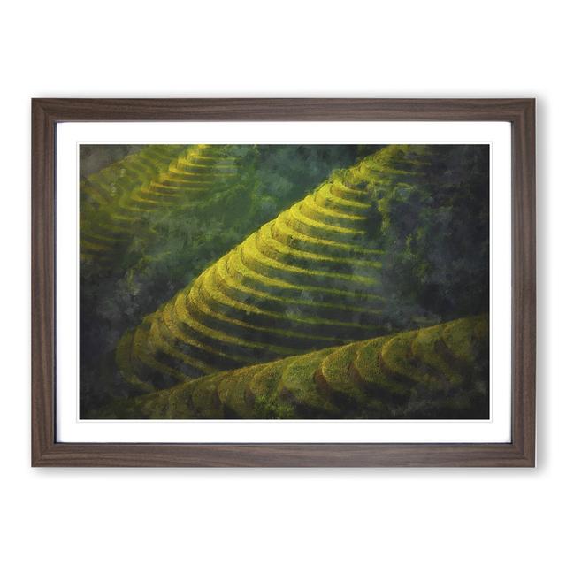 Rice Plantation in Cambodia Vol.2 - Picture Frame Painting East Urban Home Frame Option: Walnut Framed, Size: 27cm H x 36cm W x 2cm D on Productcaster.