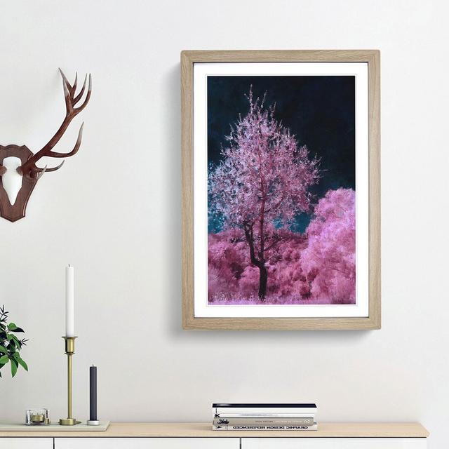 Pink Trees In Malaga Spain - Single Picture Frame Print on MDF East Urban Home Frame Option: Oak Framed, Size: 63cm H x 45cm W x 2cm D on Productcaster.