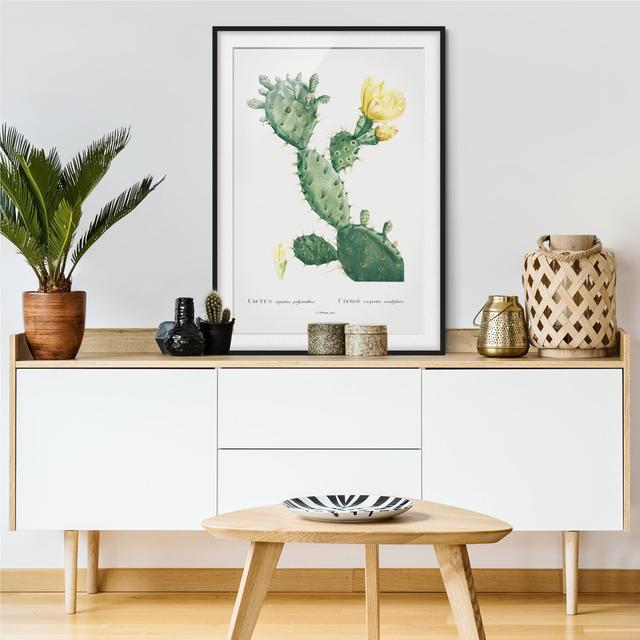 Botany Vintage Illustration Cactus with Yellow Flower - Picture Frame Graphic Art Gracie Oaks Size: 100cm H x 70cm W x 2cm D, Frame Option: Black on Productcaster.