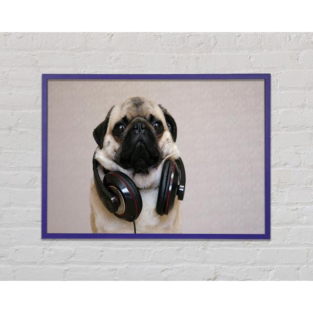 Cool Pug Wearing Headphones - Print Happy Larry Size: 21cm H x 29.7cm W x 2cm D, Format: Purple Framed Paper on Productcaster.