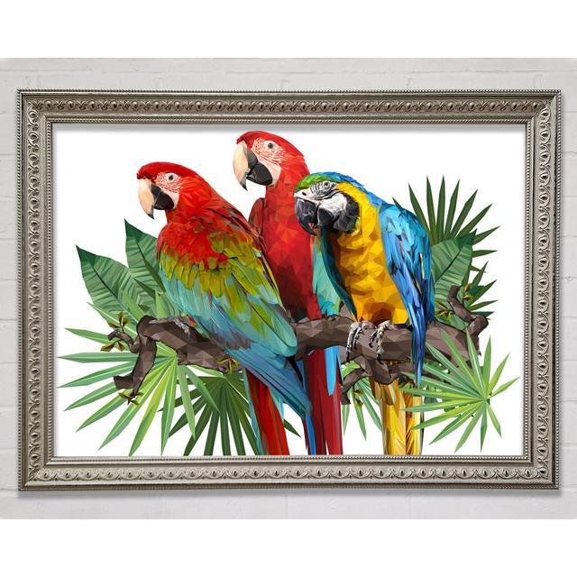 Three Parrots On A Branch Framed Print Bright Star Size: 59.7cm H x 84.1cm W x 3cm D on Productcaster.