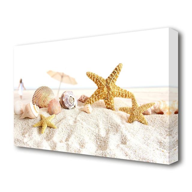 Seashells and Starfish On the Beach Wildlife - Photographic Print on Canvas East Urban Home Size: 35.6 cm H x 50.8 cm W on Productcaster.