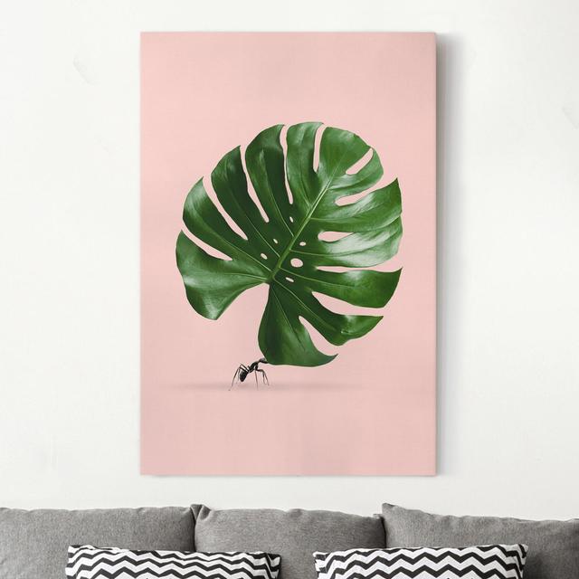 Leinwandbild Ameise mit Monstera Blatt von Jonas Loose Sansibar Home on Productcaster.