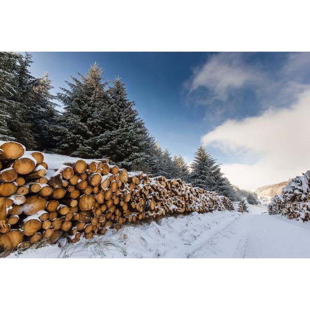 Baltzer Snow Covered Trees by WhitcombeRD - Wrapped Canvas Photograph Alpen Home Size: 30cm H x 46cm W x 3.8cm D on Productcaster.