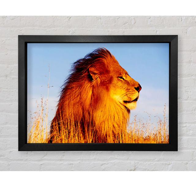 Lion On Watch - Drucken Ebern Designs Größe: 84,1 cm H x 118,9 cm B x 3,4 cm T on Productcaster.