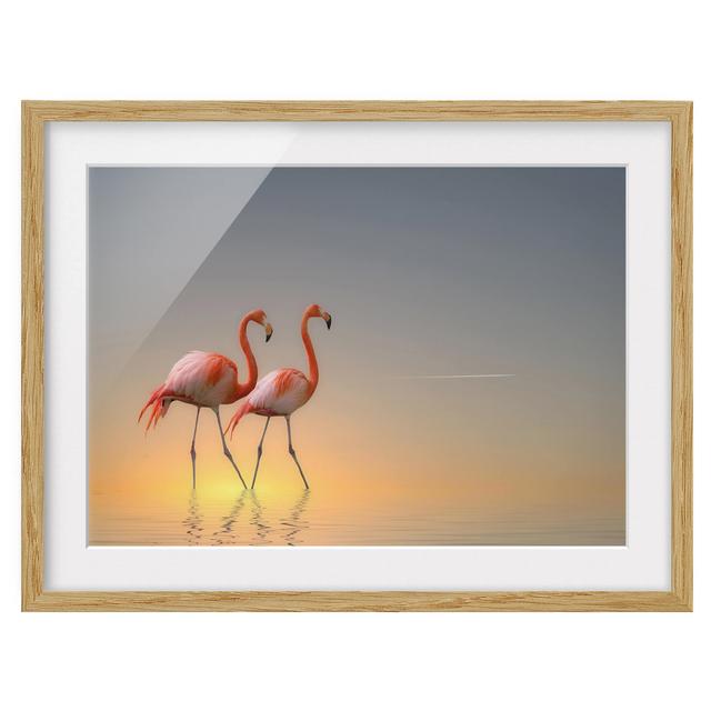 Flamingo Love - Picture Frame Graphic Art Bay Isle Home Size: 70cm H x 100cm W x 2cm D, Frame Option: Brown Framed on Productcaster.