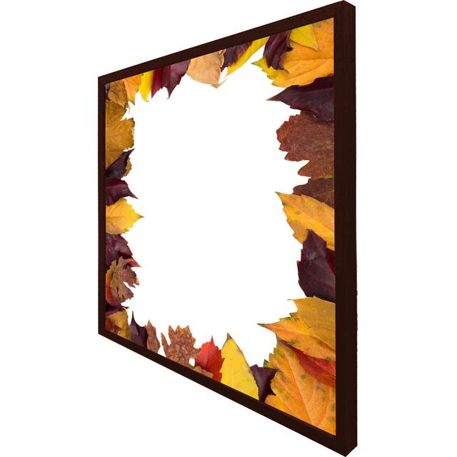 Bornier Orange & Purple Autumn - Single Picture Frame Art Prints Alpen Home Size: 61cm H x 61cm W x 4cm D, Format: Brown Framed on Productcaster.