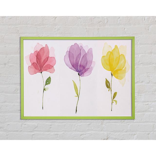 Barthelemy Trio Of Pastel Flowers - Single Picture Frame Art Prints Ophelia & Co. Size: 29.7cm H x 42cm W x 2cm D on Productcaster.