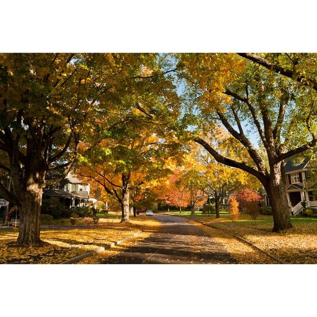 Residential Road by Stresstensor - Wrapped Canvas Photograph Marlow Home Co. Size: 81cm H x 122cm W on Productcaster.