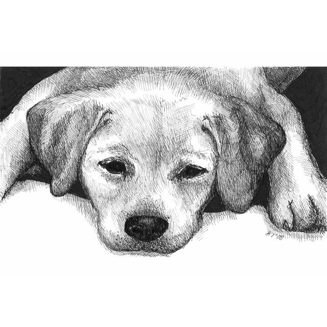 Kailie The Yellow Lab Marlow Home Co. Size: 51cm H x 76cm W x 3.8cm D on Productcaster.